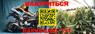 твердый Гай