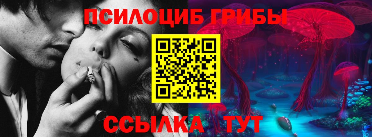Галлюциногенные грибы Psilocybine cubensis Кашира