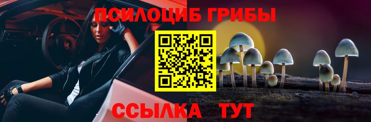 Галлюциногенные грибы Psilocybe  Псилоцибиновые грибы GOLDEN TEACHER  Вход с VPN  Кашира 